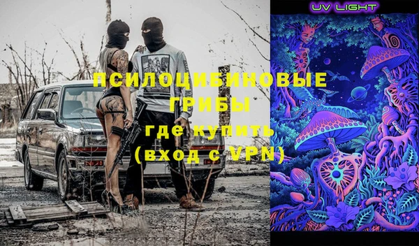 a pvp Новодвинск