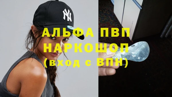 a pvp Новодвинск