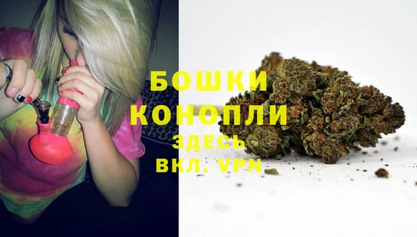 a pvp Новодвинск