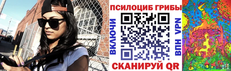наркота  Тбилисская  Псилоцибиновые грибы Psilocybine cubensis 